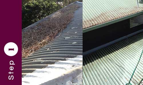 Gutter Cleaning Step One